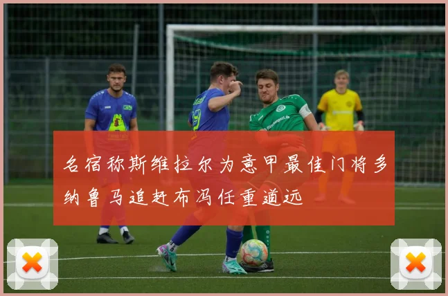 名宿称斯维拉尔为意甲最佳门将多纳鲁马追赶布冯任重道远